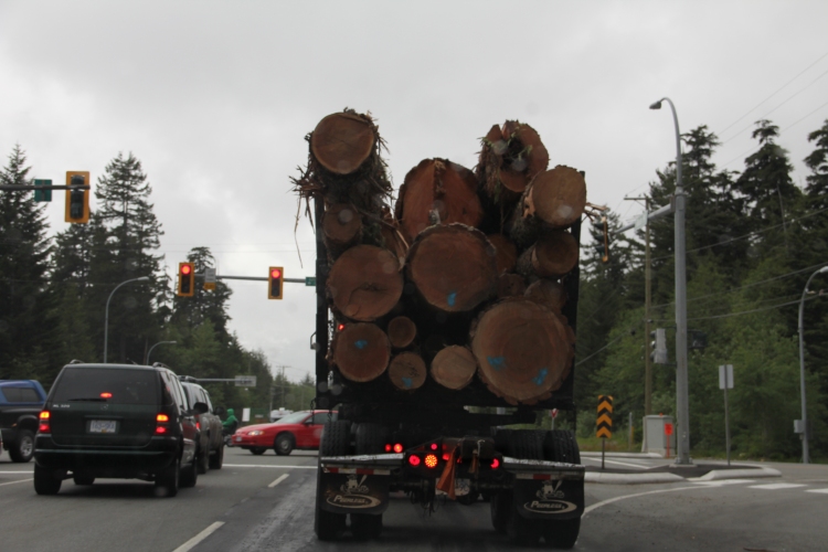 Logs, Logs, and More Logs